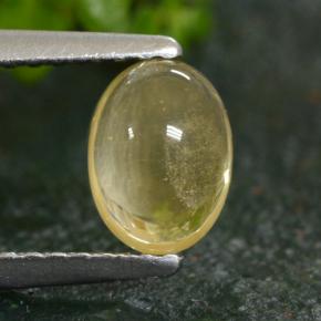 0.8ct Oval Cabochon Yellow Golden Citrine Gem for sale 0.8ct Oval Cabochon Yellow Golden Citrine Gem (ID: 477006)