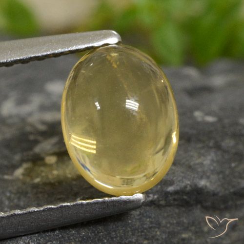 1.6ct Oval Cabochon Yellow Golden Citrine Gem for sale 1.6ct Oval Cabochon Yellow Golden Citrine Gem (ID: 477085)