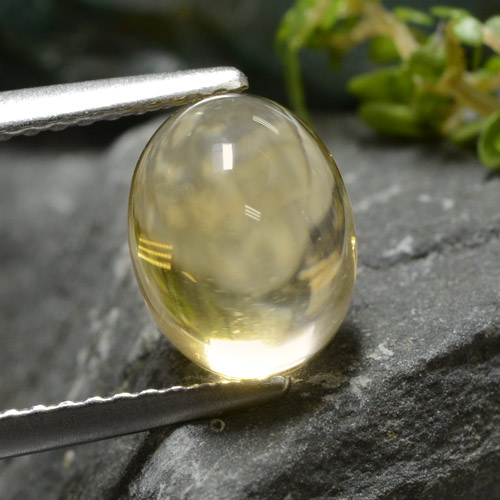 Light Gold Citrine Gem - 2.6ct Oval Cabochon (ID: 477129)