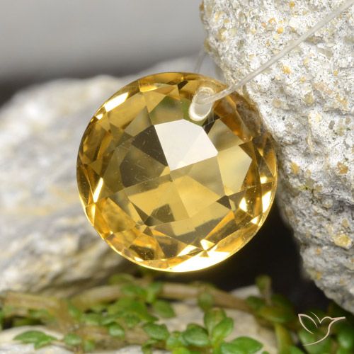 Naranja dorado Citrina Gema - 4.9ct Checkerboard circular perforado (ambos lados) (ID: 477486)