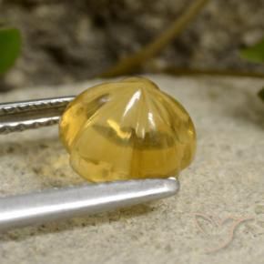 Citrine Gemstone in 7.3 x 7.2 mm Size for Sale, Citrine Stone in Honey Yellow Color