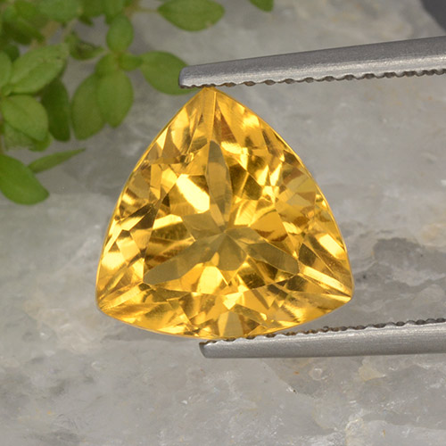 Bright Gold Citrino Gem - 4.6ct Sfaccettatura trilliant (ID: 498474)