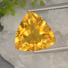 Dorado oscuro Citrina Gema - 5.2ct Forma trillón (ID: 498487)