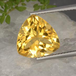 Golden Citrine Gem - 5.3ct Trillion Facet (ID: 498498)