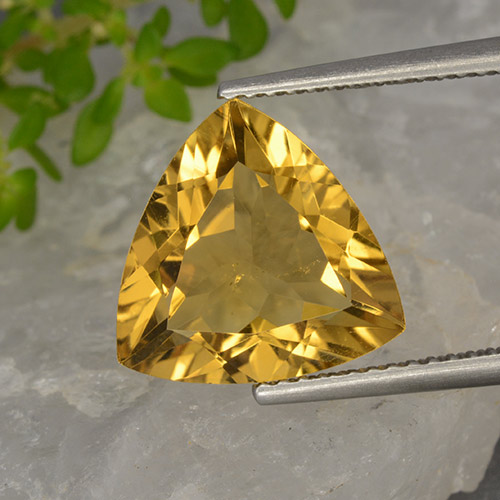 Dorato Citrino Gem - 4.5ct Sfaccettatura trilliant (ID: 498561)