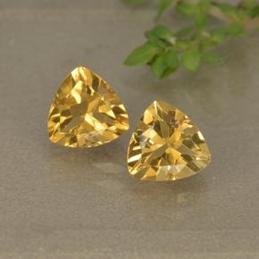 Dorato Citrino Gem - 0.8ct Sfaccettatura trilliant (ID: 499309)