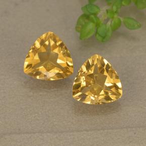 Dorato Citrino Gem - 0.7ct Sfaccettatura trilliant (ID: 499324)
