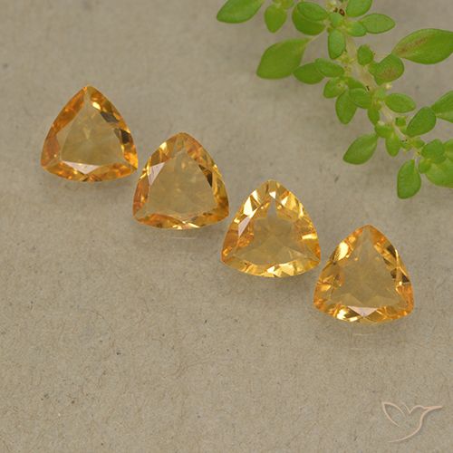 Dorado naranja Citrina Gema - 0.5ct Forma trillón (ID: 499330)
