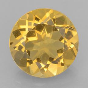 Medium Gold Citrine Gem - 5.2ct Round Facet (ID: 501407)
