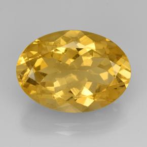 Medium Golden Citrine Gem - 10.8ct Oval Facet (ID: 504841)