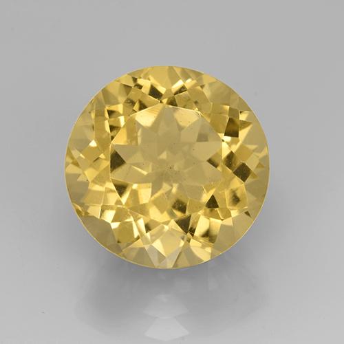 Dorado medio Citrina Gema - 7.8ct Faceta Redonda (ID: 505030)