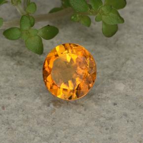 0.62 ct Orange Clinohumite Stone, Natural Clinohumite in Round Facet Shape for Sale