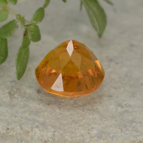 Clinohumite Gemstone in 6 mm (calibrated) Size for Sale, Clinohumite Stone in Yellow Orange Color