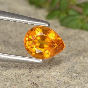 0.5ct Pear Facet Yellow Orange Clinohumite for sale thumb image of 0.5ct Pear Facet Yellow Orange Clinohumite (ID: 495093)