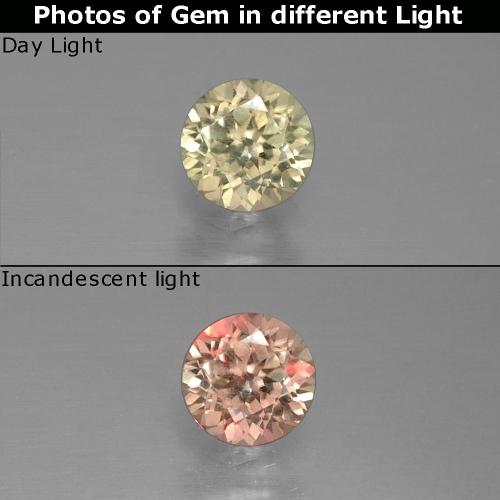 Amarillo terroso Diásporo con Cambio de Color Gema - 0.7ct Faceta Redonda (ID: 389311)