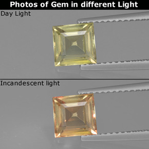 1.25 ct Yellow Color-Change Diaspore Gemstone, Color-Change Diaspore Gem in Square Facet Shape for Sale.