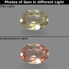 Brownish Yellow Диаспор, Меняющий Цвет Камень - 0.7ct Фасетный Овал (ID: 424659)