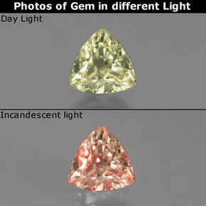 0.88 ct Color-Change Color-Change Diaspore Gemstone, Color-Change Diaspore Gem in Trillion Facet Shape for Sale.
