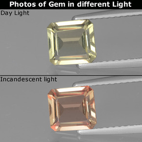 1.15 ct Yellow Color-Change Diaspore Gemstone, Color-Change Diaspore Gem in Octagon Facet Shape for Sale.