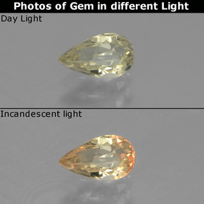 Mellow Yellow Color-Change Diaspore Gem - 0.6ct Pear Facet (ID: 440031)