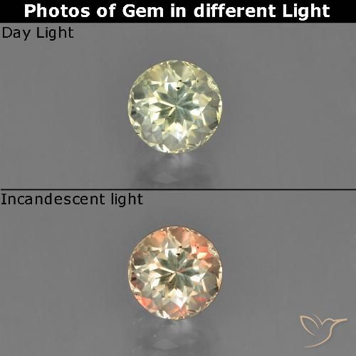 Amarillo muy claro Diásporo con Cambio de Color Gema - 0.6ct Faceta Redonda (ID: 452225)