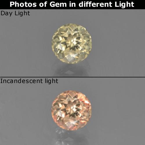 Gelbes Beige Farbwechselnder Diaspor Edelstein - 0.7ct Rund Facettenschliff (ID: 452230)