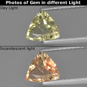 Very Light Yellow Диаспор, Меняющий Цвет Камень - 0.7ct Огранка Триллион Фасетная (ID: 454437)