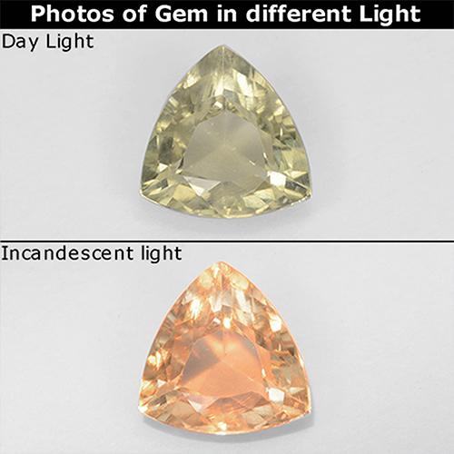 6 x 5.8mm Trillion Facet Yellow Color-change Diaspore from Turkey, Weight of 0.7ct, Natural untreated Gemstone in VS Clarity, 1pc Color-change Diaspore - Color: Light Yellow, Mohs Hardness of 6.5 - 7 suitable for daily wear jewelry, Photo A