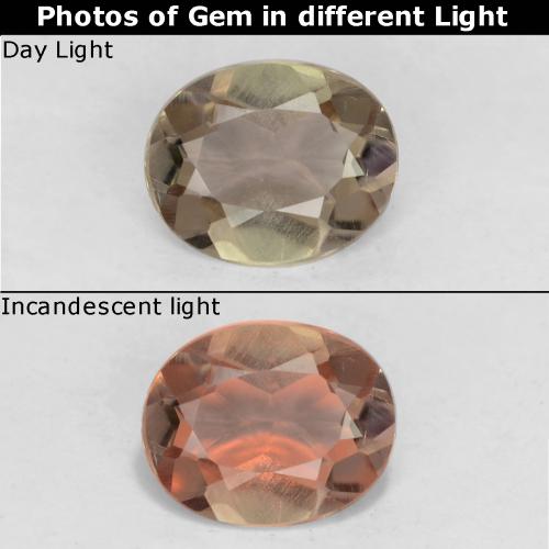Gold Color-Change Diaspore Gem - 0.6ct Oval Facet (ID: 542534)