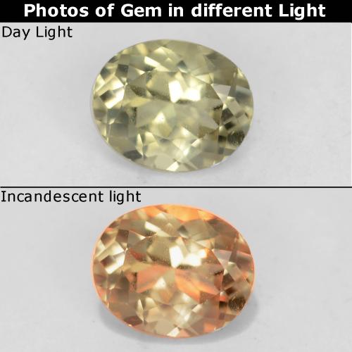 6,1 x 4,9mm ovaler gelber Farbwechselnder Diaspor aus Brasilien, Gewicht von 0,7 ct, natürlicher Edelstein in VVS-VS Reinheit, 1 Stück ovaler Farbwechselnder Diaspor - Farbe: Blasses Gelb, Mohs-Härte von 6,5 - 7 Geeignet für den täglichen Gebrauch im Schmuck, Photo A