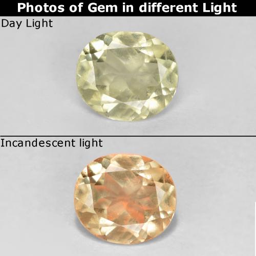 Светло-желтый Диаспор, Меняющий Цвет Камень - 0.5ct Фасетный Овал (ID: 555433)