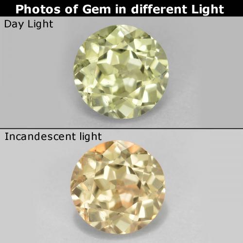 Very Light Yellow Farbwechselnder Diaspor Edelstein - 0.6ct Rund Facettenschliff (ID: 597742)