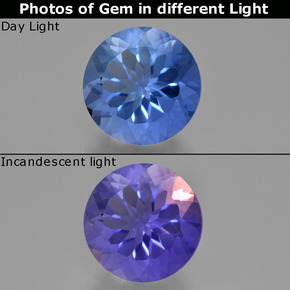 Azul oscuro Fluorita con Cambio de Color Gema - 11.5ct Faceta Redonda (ID: 413692)