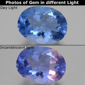 20.76 ct Blue Color-Change Fluorite Gemstone, Color-Change Fluorite Gem in Oval Facet Shape for Sale.