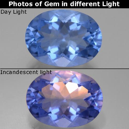 Dark Blue Color-Change Fluorite Gem - 21.5ct Oval Facet (ID: 445591)