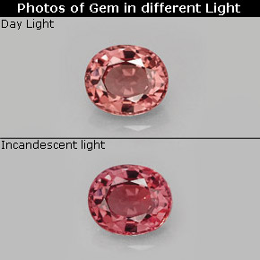 1.31 ct Multicolor Color-Change Garnet Gemstone, Color-Change Garnet Gem in Oval Facet Shape for Sale.