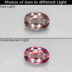 0.76 ct Multicolor Color-Change Garnet Gemstone, Color-Change Garnet Gem in Oval Facet Shape for Sale.