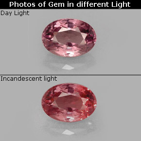 0.61 ct Multicolor Color-Change Garnet Gemstone, Color-Change Garnet Gem in Oval Facet Shape for Sale.