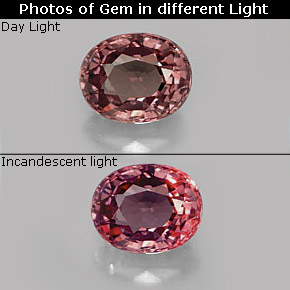0.75 ct Multicolor Color-Change Garnet Gemstone, Color-Change Garnet Gem in Oval Facet Shape for Sale.