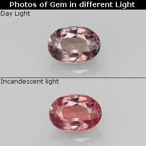 0.66 ct Multicolor Color-Change Garnet Gemstone, Color-Change Garnet Gem in Oval Facet Shape for Sale.
