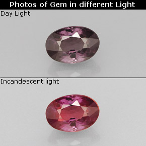 0.68 ct Multicolor Color-Change Garnet Gemstone, Color-Change Garnet Gem in Oval Facet Shape for Sale.