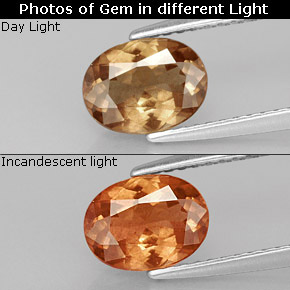 1.37 ct Multicolor Color-Change Garnet Gemstone, Color-Change Garnet Gem in Oval Facet Shape for Sale.