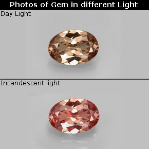 0.75 ct Multicolor Color-Change Garnet Gemstone, Color-Change Garnet Gem in Oval Facet Shape for Sale.