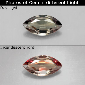 1.34 ct Multicolor Color-Change Garnet Gemstone, Color-Change Garnet Gem in Marquise Facet Shape for Sale.