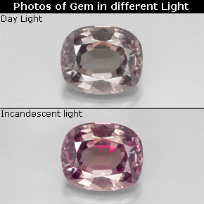 1.50 ct Multicolor Color-Change Garnet Gemstone, Color-Change Garnet Gem in Cushion-Cut Shape for Sale.