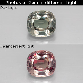 1.30 ct Multicolor Color-Change Garnet Gemstone, Color-Change Garnet Gem in Cushion-Cut Shape for Sale.