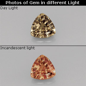 0.72 ct Multicolor Color-Change Garnet Gemstone, Color-Change Garnet Gem in Trillion Facet Shape for Sale.