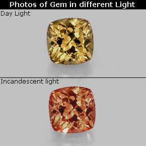 0.90 ct Multicolor Color-Change Garnet Gemstone, Color-Change Garnet Gem in Cushion-Cut Shape for Sale.