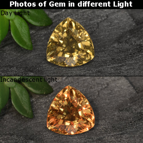 0,67 ct trillionenschliff goldener Farbwechselnder Granat aus Madagaskar, Größe 5,4 x 5,3mm, natürlicher Edelstein, VS Reinheit, 1 Stück trillionenschliff Farbwechselnder Granat, Mohs-Härte von 6,5 - 7,5 Geeignet für den täglichen Gebrauch im Schmuck , Photo A