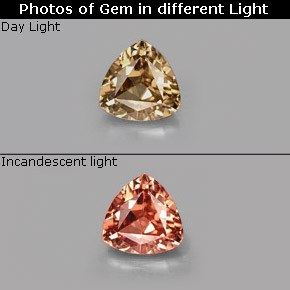 0.77 ct Multicolor Color-Change Garnet Gemstone, Color-Change Garnet Gem in Trillion Facet Shape for Sale.